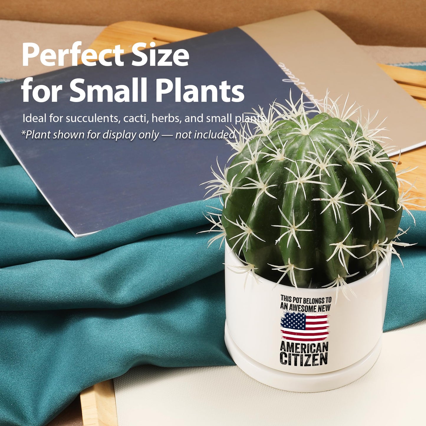 This Pot Belongs to an Awesome New American Citizen Ceramic Succulent Plant Pot with Tray Citizenship Gifts American Flag Plant Lover Gifts Home Decor 3.5 Inch White (No Plants) (With Ceramic Tray)