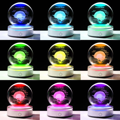 Brain Gifts for Neurologist, Laser Ethced Human Brain Anatomical Model 3D Crystal Ball, Brain Surgery Gifts for Doctors, Physiology Graduation Gifts for Medical Students for Christmas