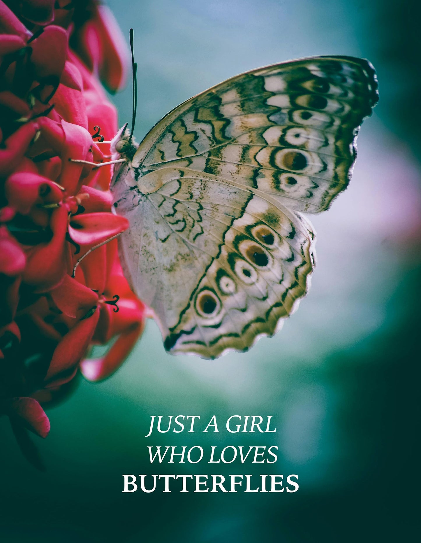 Butterfly Gifts Women, Butterfly Journal Pink 200 Pages Notebook A5 Lined with Pen and Keychain, Inspiration Gift for Butterfly Lovers Birthday Housewarming Going Away Retirement Christmas