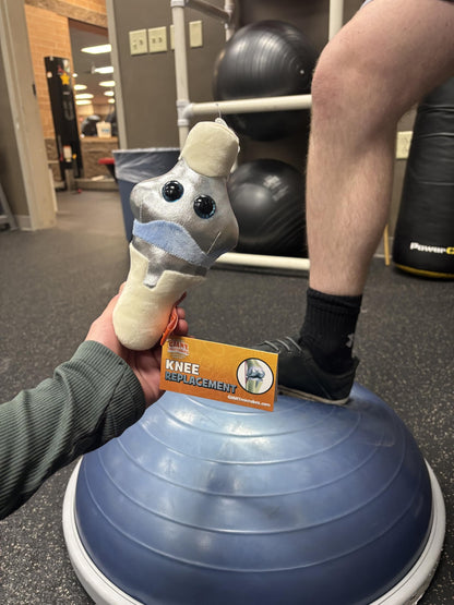 GIANT MICROBES Knee Replacement Plush, get Well Gift, Knee Replacement Gifts, Knee Injury, Chiropractor Gift, Orthopedic Surgeon Gifts, Physical Therapy, Chronic Pain