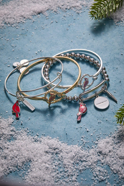 Alex and Ani Strength' Cardinal Duo Charm Bangle Bracelet
