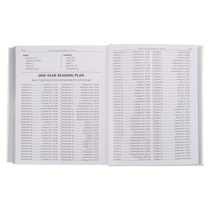 KJV Holy Bible, Classically Illustrated Heirloom Family Bible, Faux Leather Hardcover - Ribbon Markers, King James Version, White/Silver (KJV Family Editions)