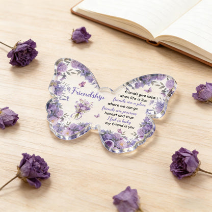 Friendship Gifts for Women Best Friend Birthday Gifts for Women Friendship Special Bestfriend Gift Ideas for Friend Female Besties Unique Butterfly Gift for Friends Female
