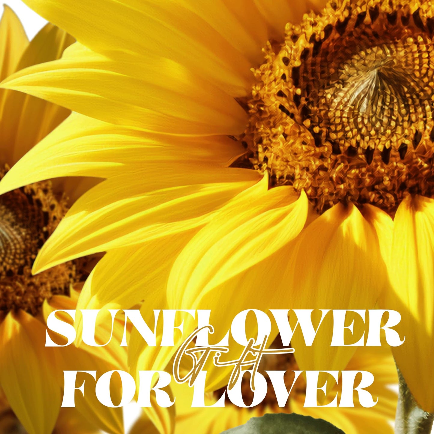 Mothers Day Sunflower Gifts for Mom Birthday Gift for Women, LED Glass Dome Preserved Eternal Flower Home Decor, for Mom Grandma Wife