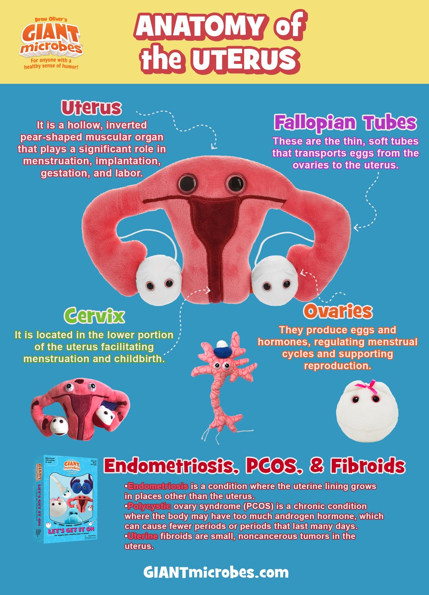 GIANT MICROBES Uterus Plush, Hysterectomy Recovery Must Haves, Hysterectomy Recovery Gifts, Funny OBGYN Gift, Labor and Delivery Nurse Gifts, Uterus Pillow, LPN Nurse Gift (Regular)