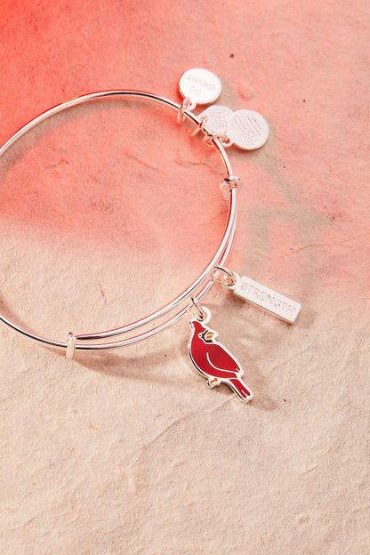 Alex and Ani Strength' Cardinal Duo Charm Bangle Bracelet