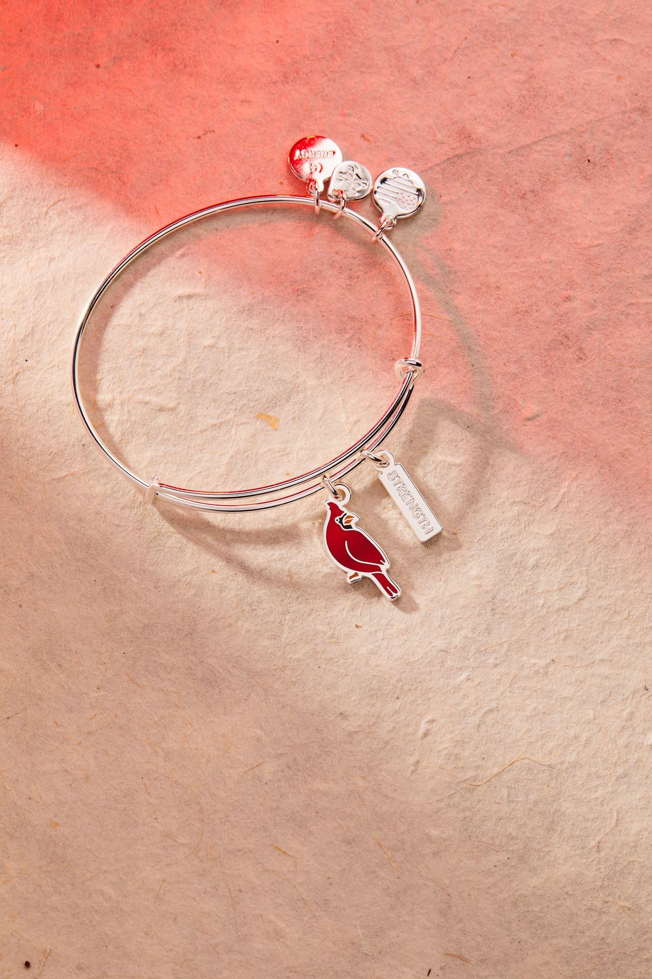 Alex and Ani Strength' Cardinal Duo Charm Bangle Bracelet