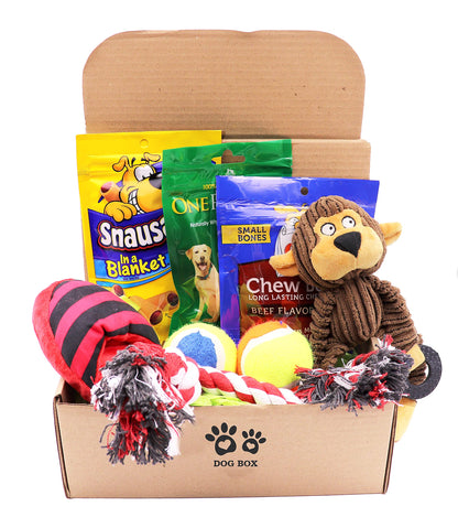 Dog Gift Box for Small Dogs & Puppies – Dog Birthday Gift Set with Toys & Treats, New Puppy Welcome Kit, Pet Gift Basket for Dogs