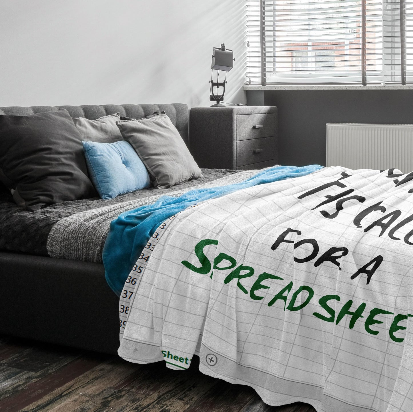 Accountant Gifts for Women/Men, Spreadsheet Gifts Funny, Gift for Accountants, Accounting Gift for Coworkers/Boss/Colleague/Friend, CPA Gifts, Excel Blanket 60"x50"