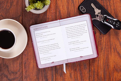 Bible Promises for Graduates (Raspberry, Faux Leather) – A Powerful Bible Promise Book for Graduates, Perfect Gift for Graduation Parties, Birthdays, Holidays, and More