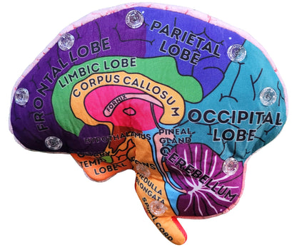GIANTmicrobes Brain Model, Human Brain Anatomy Model, Brain Model for Kids, Brain Model for Neuroscience, Brain Model for Teaching, Brain Model for Psychology, 3D Brain Model, Brain Anatomy Toy